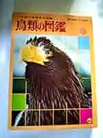 鳥類学 図録 特別展 鳥 ゲノム解析が解き明かす新しい鳥類の系統